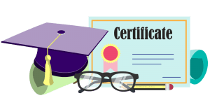 bachelors degree translation